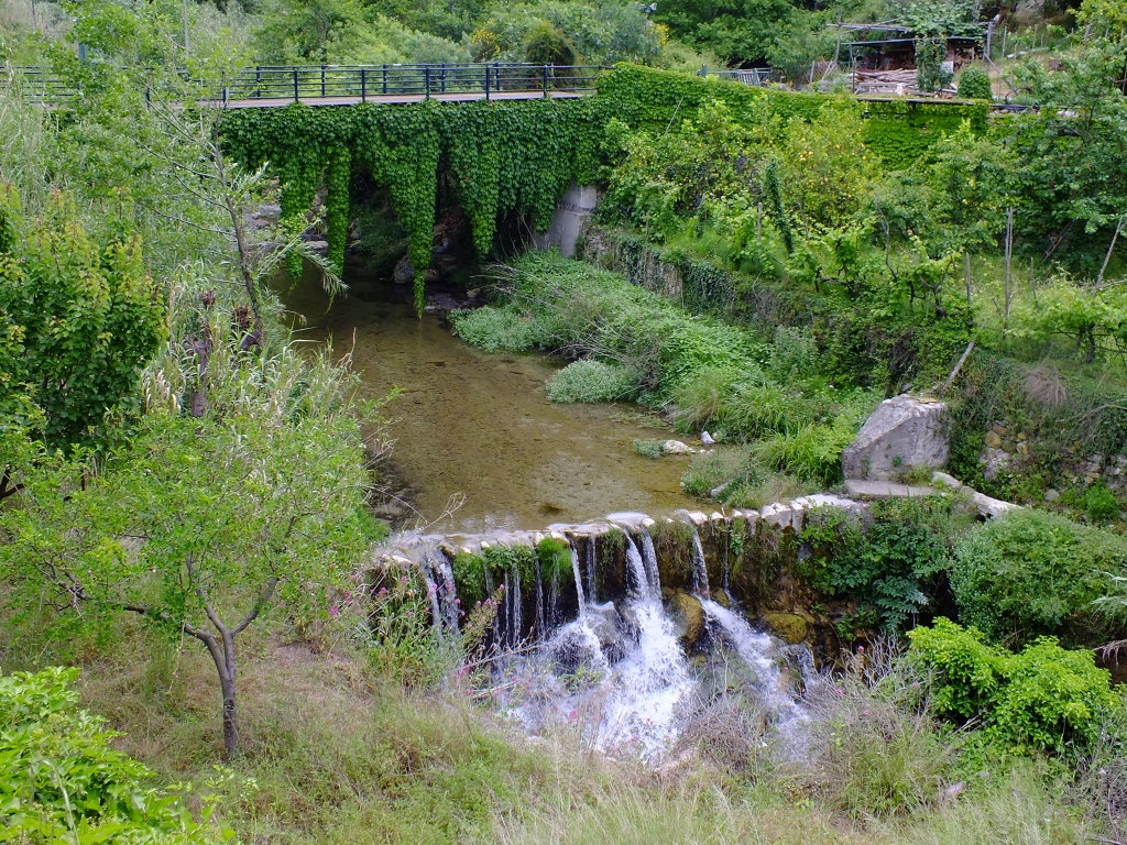 DSCF9077.jpg