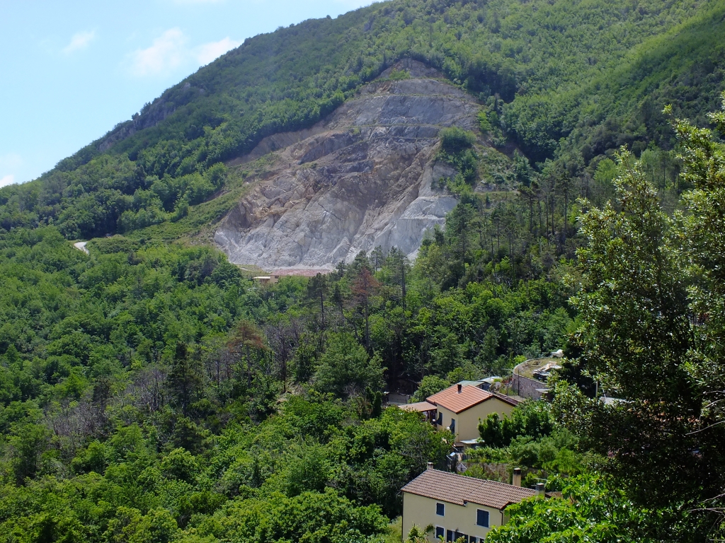 DSCF9083.jpg