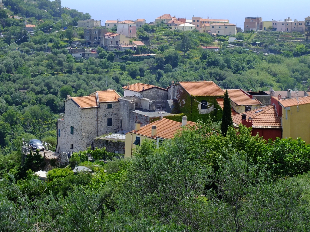 DSCF9091.jpg