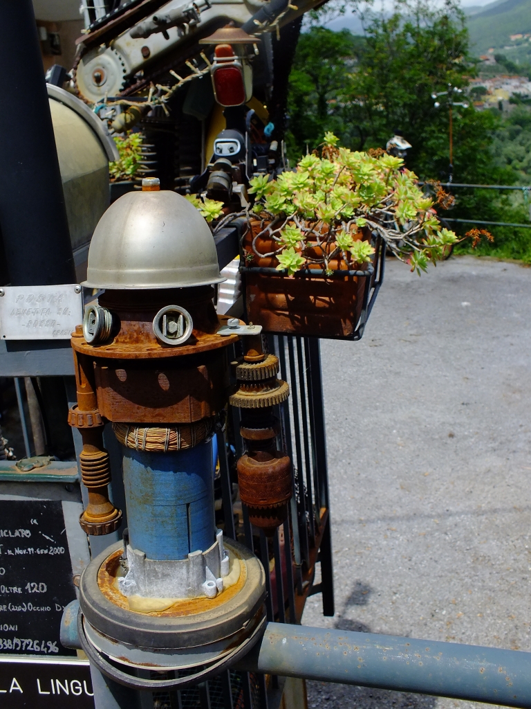 DSCF9095.jpg