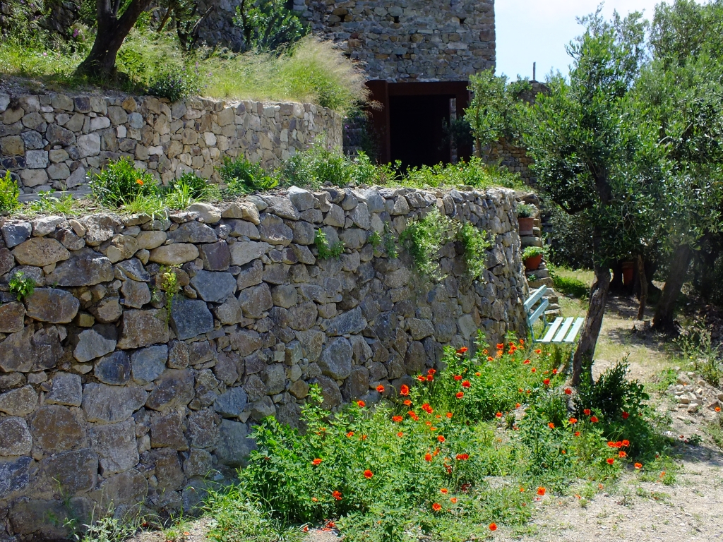 DSCF9116.jpg