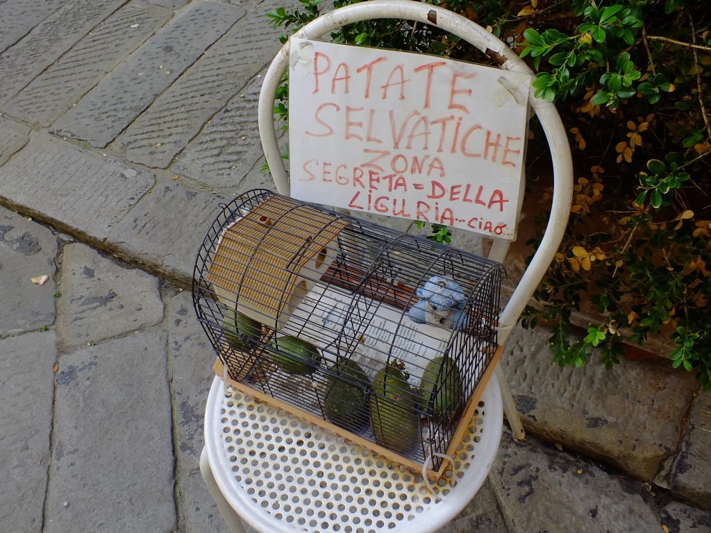 DSCF9173.jpg