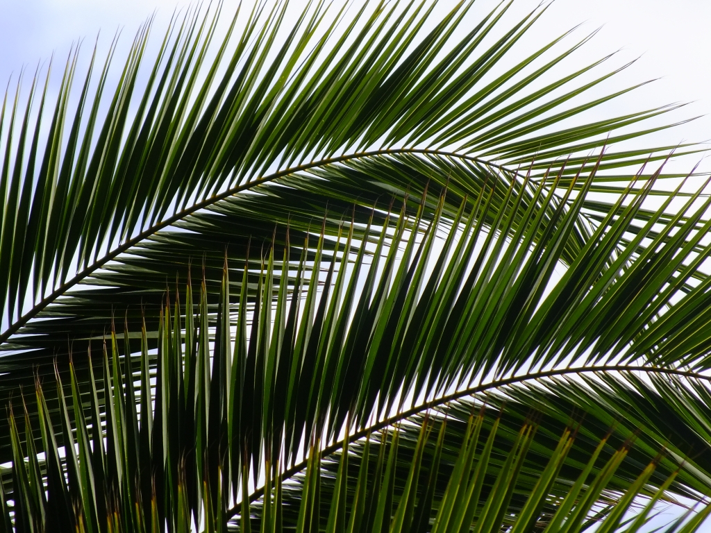 DSCF9183.jpg