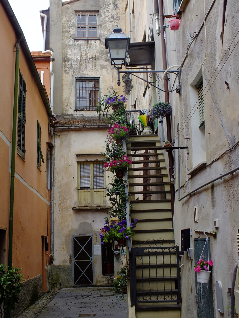 DSCF9195.jpg