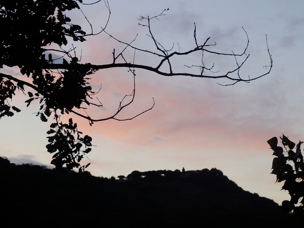DSCF9223.jpg