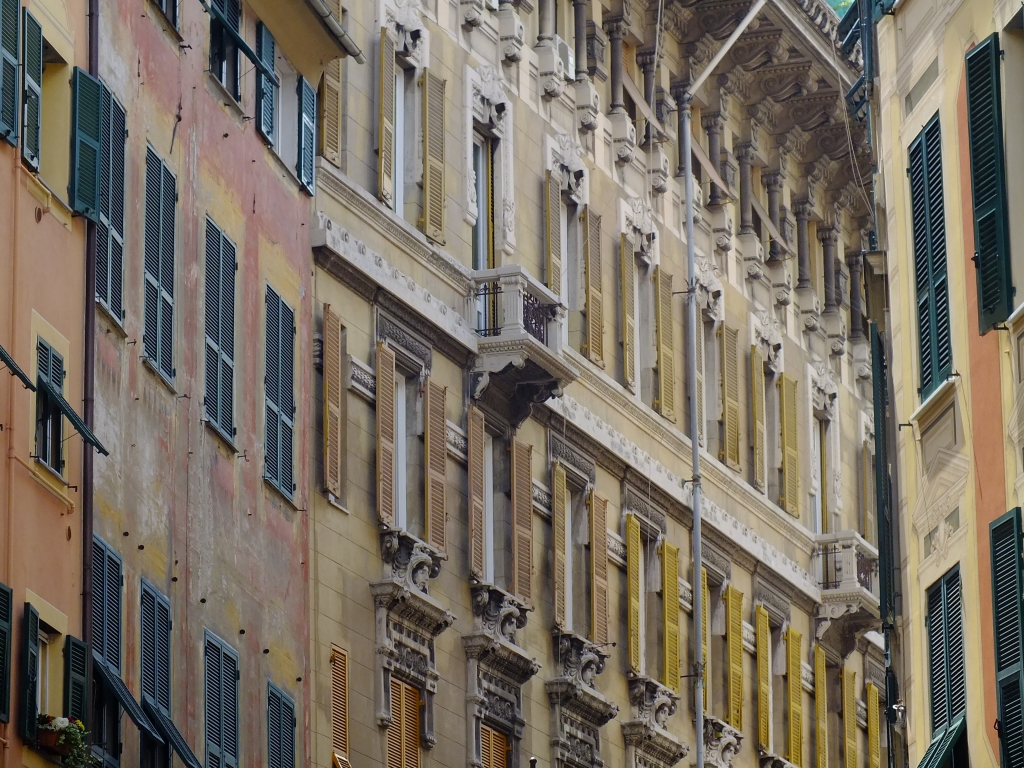 DSCF9238.jpg