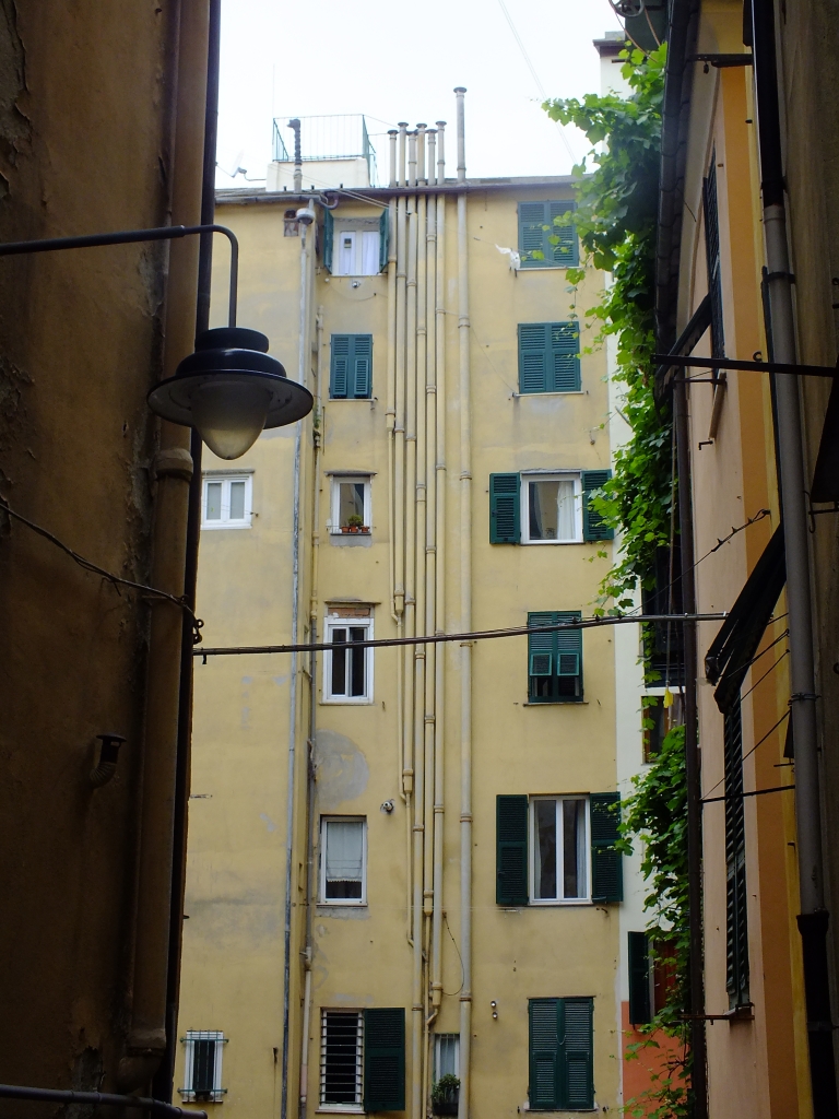 DSCF9255.jpg
