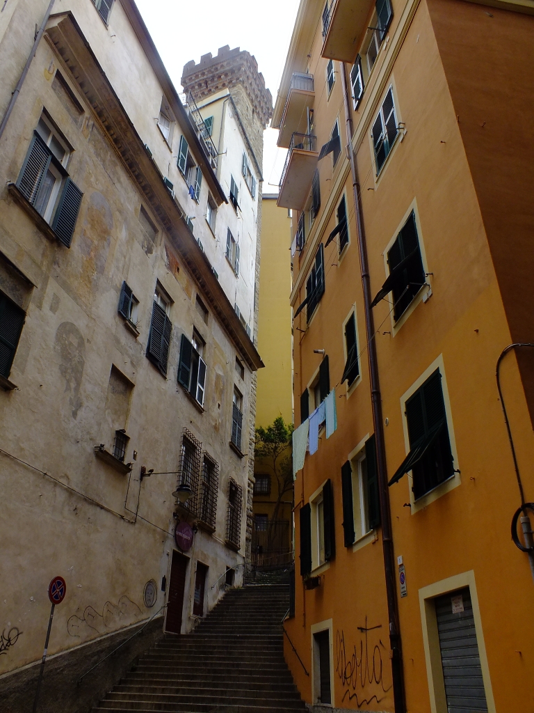 DSCF9258.jpg