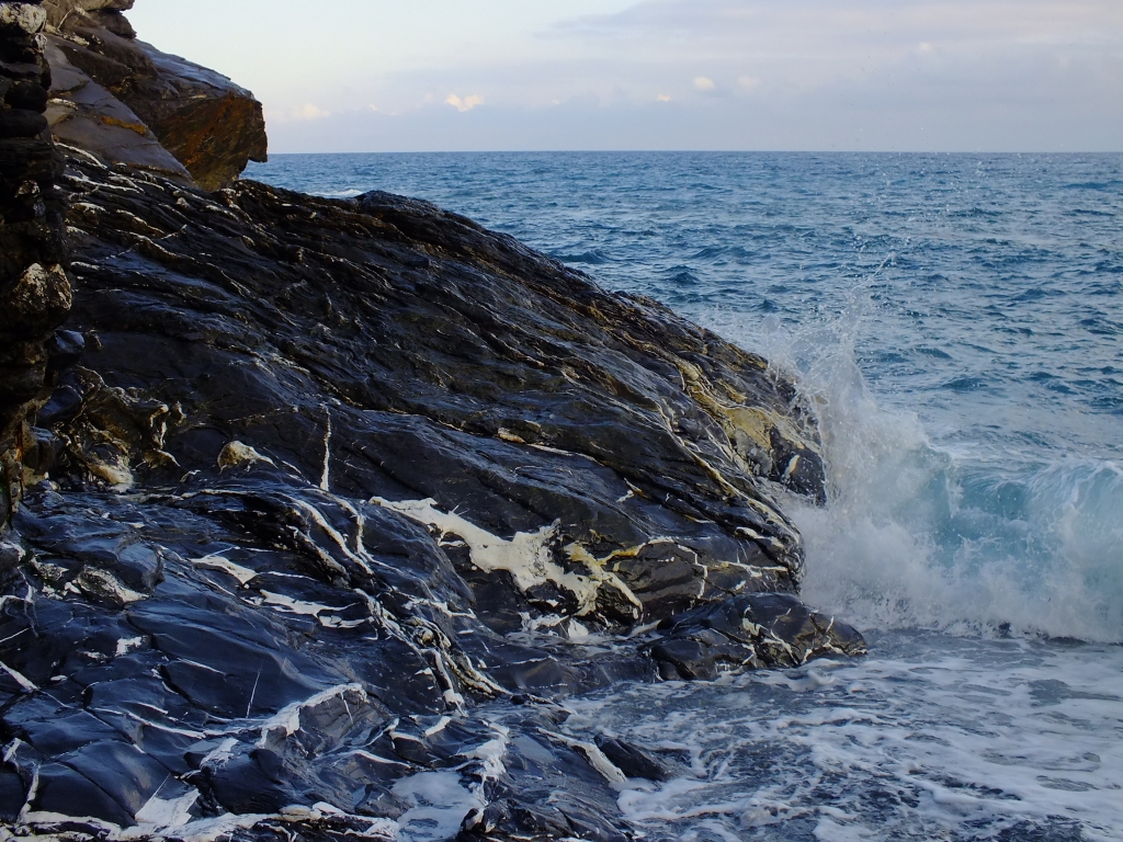 DSCF9328.jpg