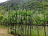 DSCF9029.jpg
