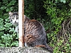 DSCF9034.jpg