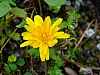 DSCF9043.jpg