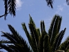 DSCF9182.jpg