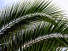 DSCF9183.jpg