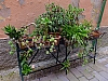 DSCF9196.jpg