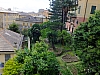 DSCF9231.jpg