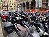 DSCF9246.jpg