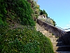 DSCF9329.jpg