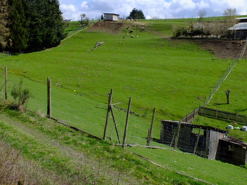 DSCF8763.jpg