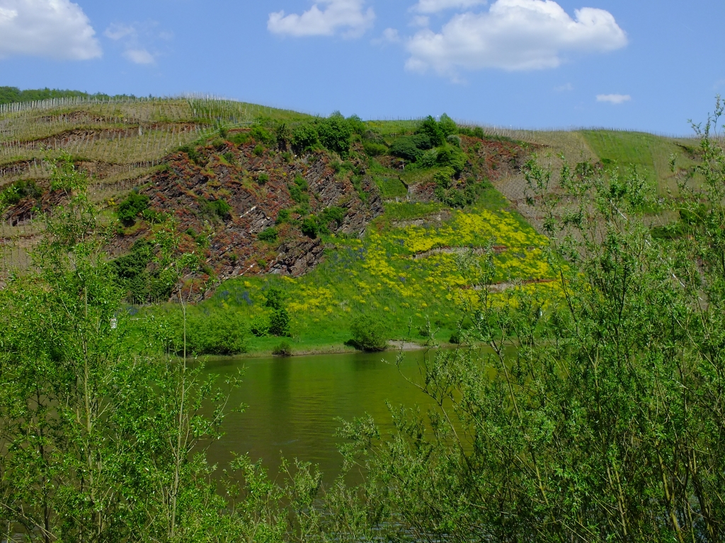 DSCF8944.jpg