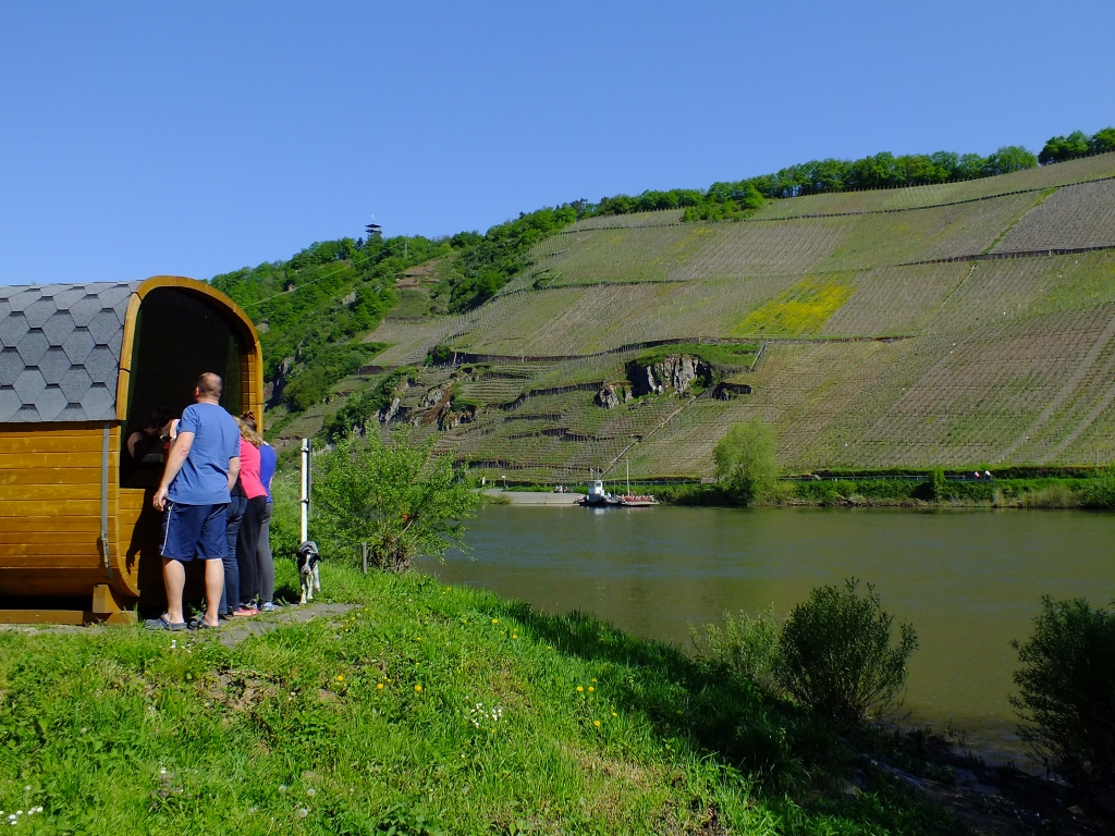 DSCF8953.jpg