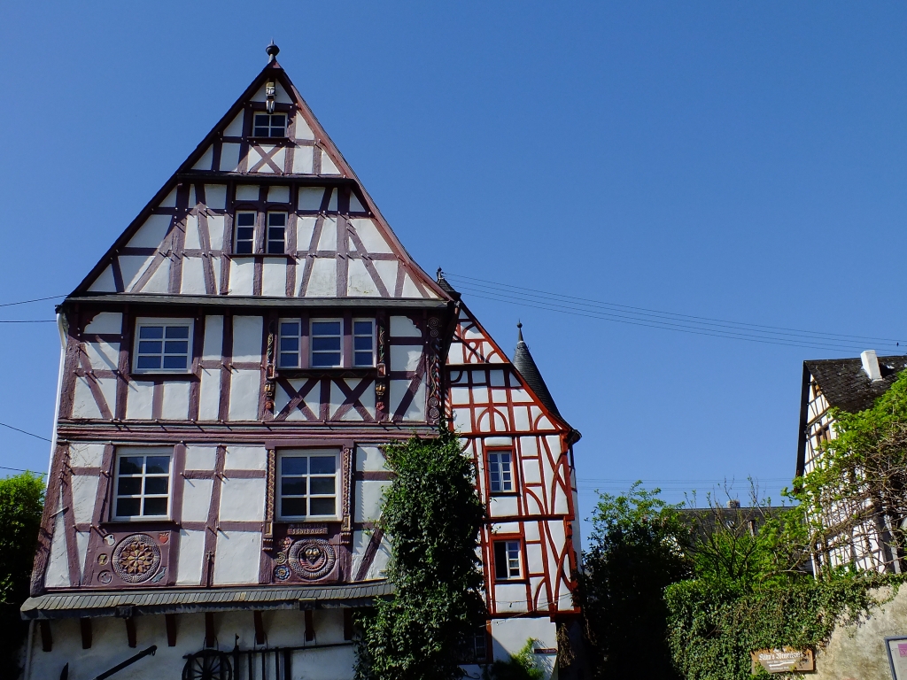 DSCF8955.jpg