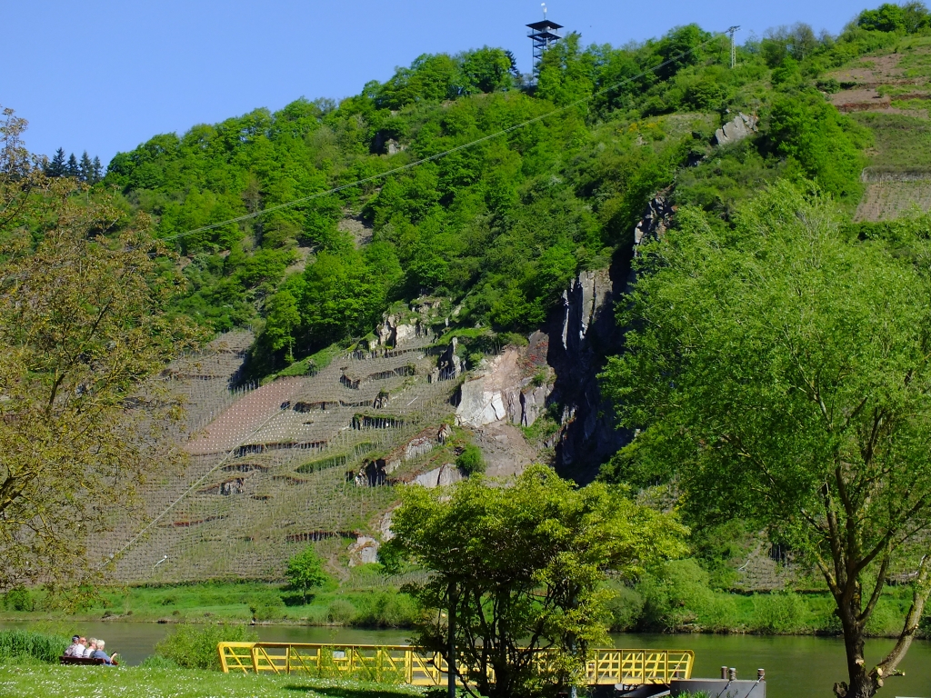 DSCF8959.jpg