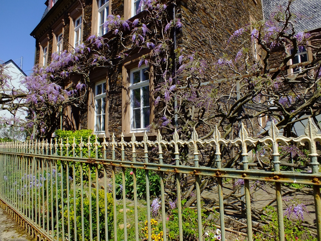 DSCF8978.jpg