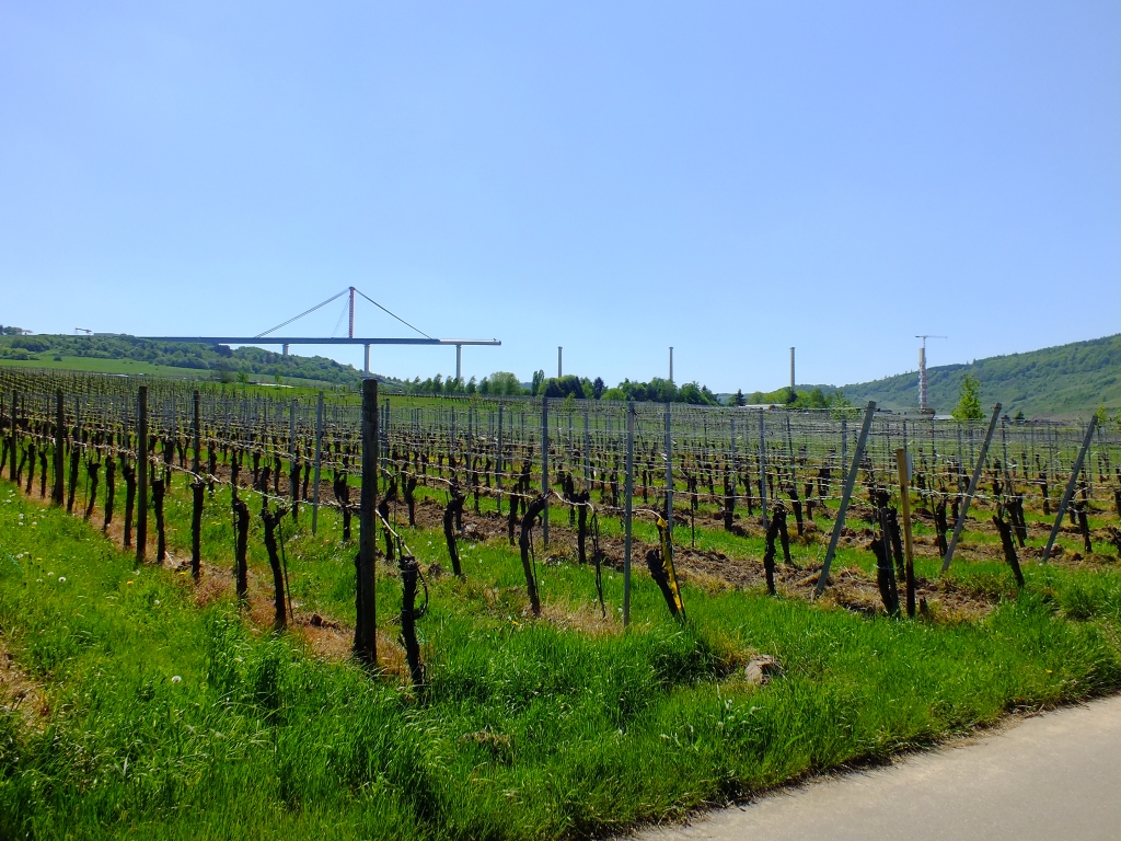 DSCF8981.jpg