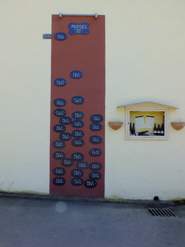DSCF8984.jpg