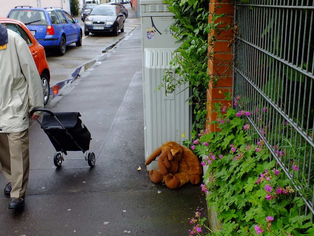 DSCF9020.jpg
