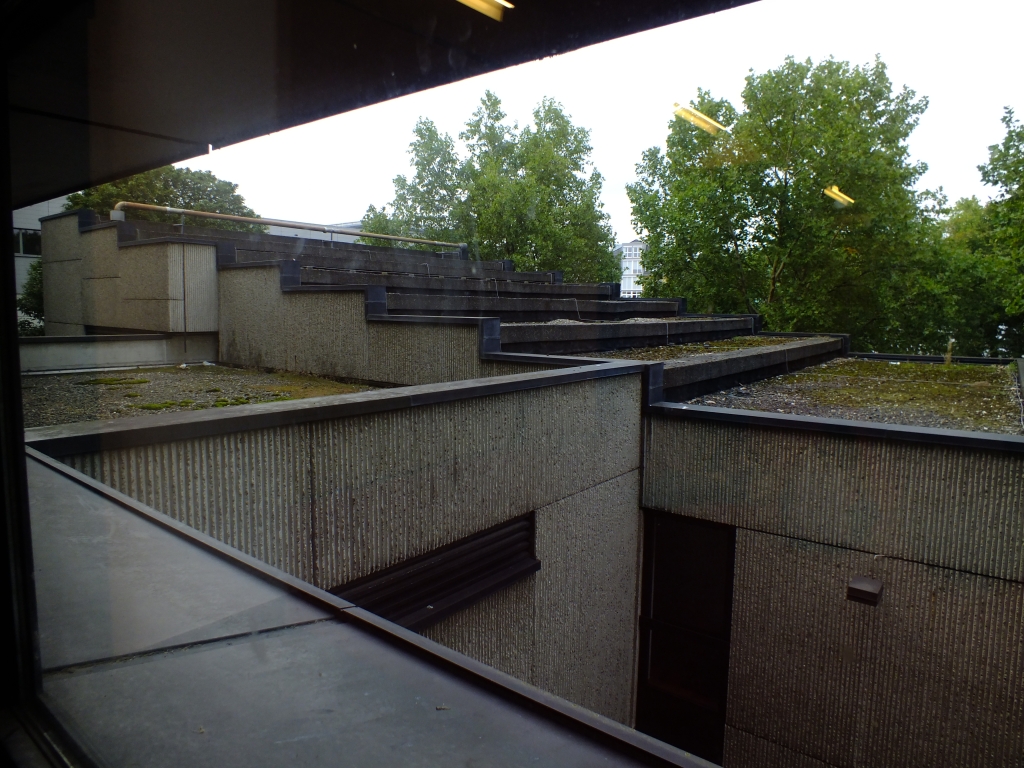 DSCF0923.jpg