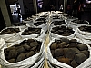 DSCF0917.jpg