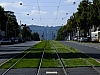 DSCF1053.jpg