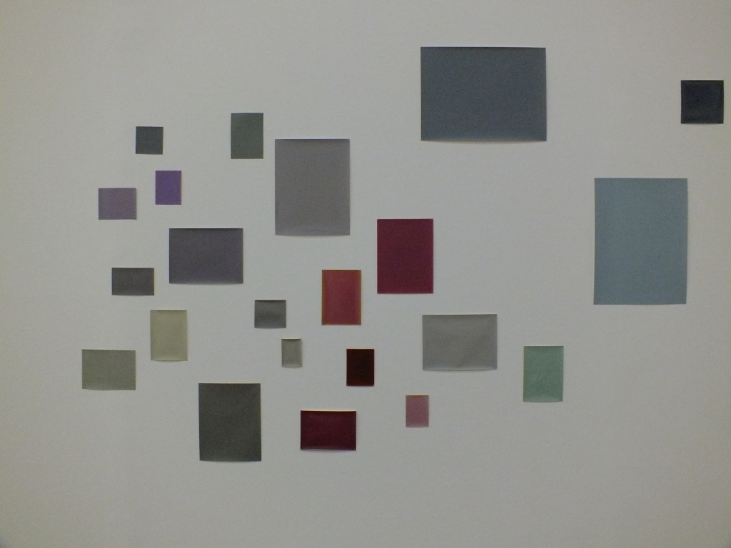 DSCF1196.jpg
