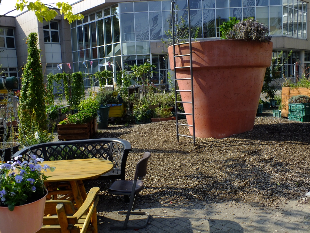 DSCF1214.jpg