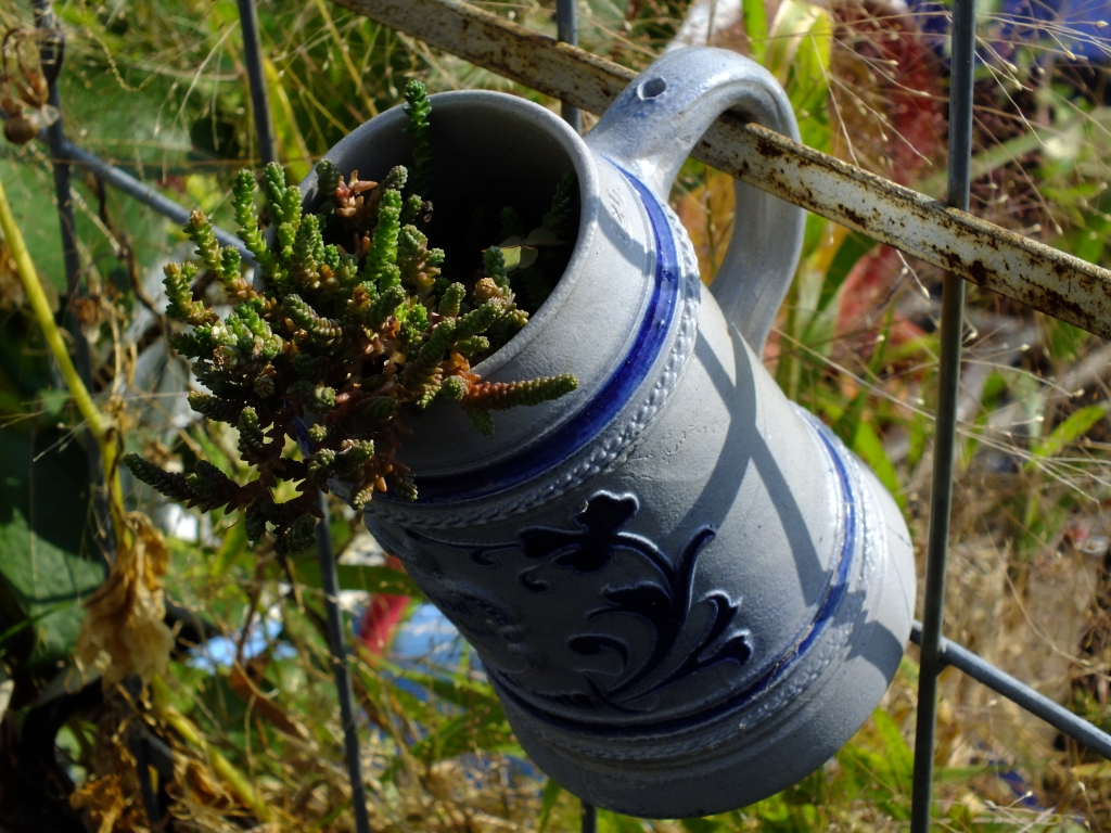 DSCF1215.jpg