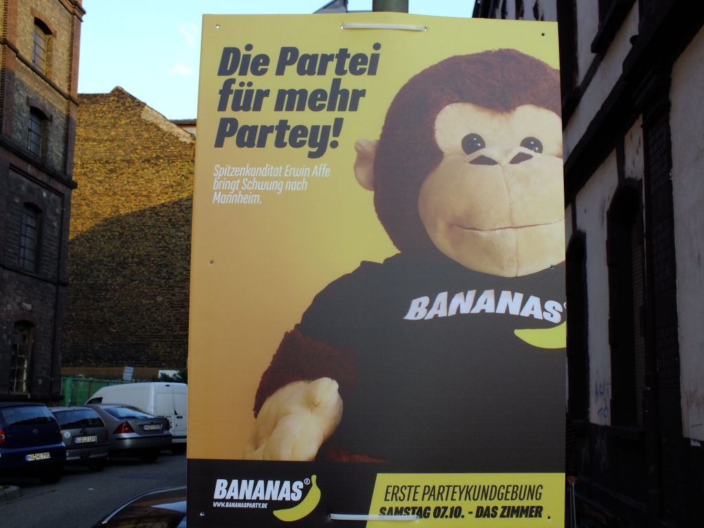 DSCF1231.jpg