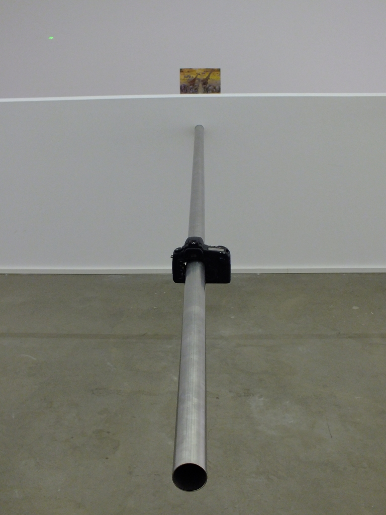 DSCF1298.jpg