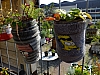 DSCF1212.jpg