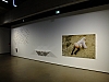 DSCF1222.jpg