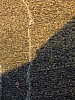 DSCF1233.jpg