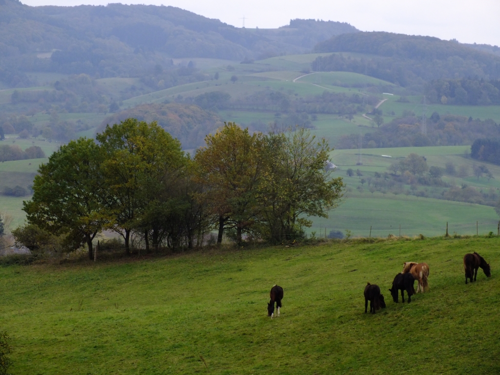 DSCF1349.jpg