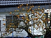 DSCF1312.jpg