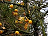 DSCF1313.jpg