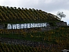DSCF1314.jpg