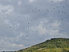 DSCF1317.jpg