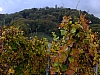 DSCF1327.jpg