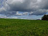 DSCF1333.jpg