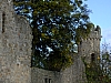 DSCF1338.jpg